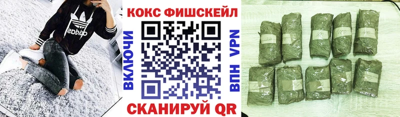 Купить закладки  Болотное  Cocaine Эквадор 