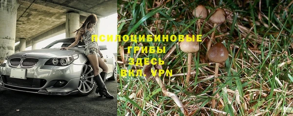 гидра Коряжма