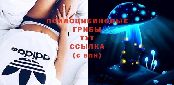 гидра Коряжма