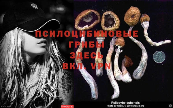 spice Корсаков