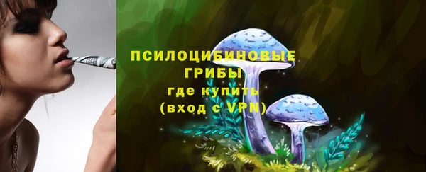 гидра Коряжма