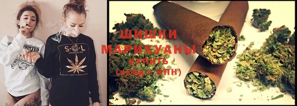 гидра Коряжма