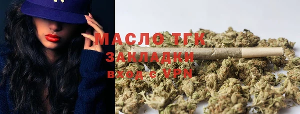 гидра Коряжма