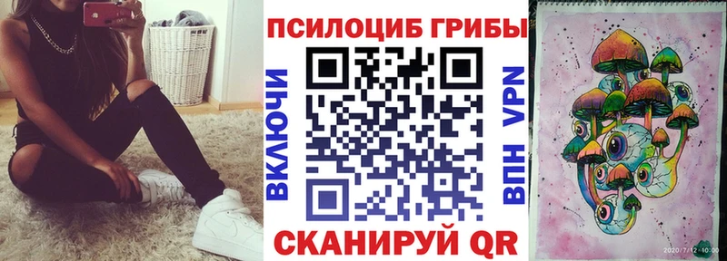 Галлюциногенные грибы Psilocybine cubensis  Купить где  Болотное 
