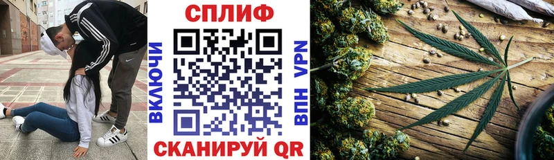 МАРИХУАНА THC 21%  Купить закладки  Болотное 